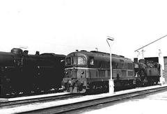 D.341.2031 diesel locomotive in depot at Rimini in June 1973