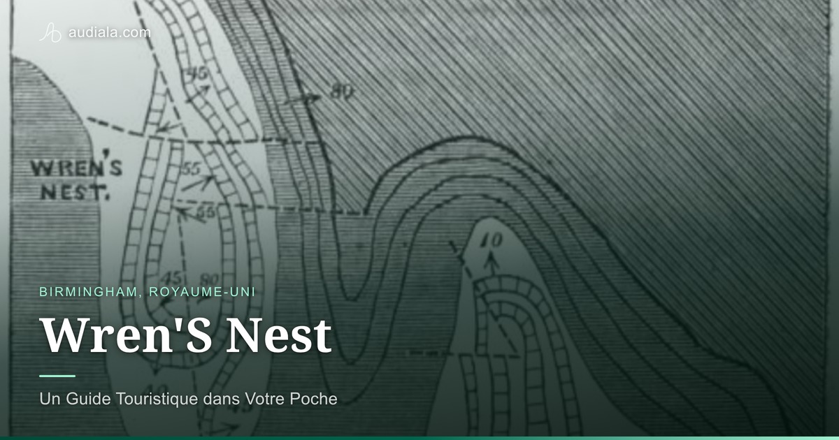 Photo of Wren'S Nest