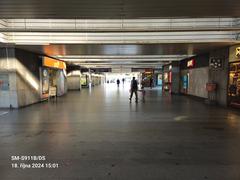 Nádraží Holešovice metro station platform in Prague with modern design and signage