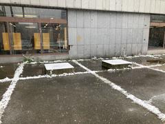 Snowfall in Prague's Holesovice district on a winter day