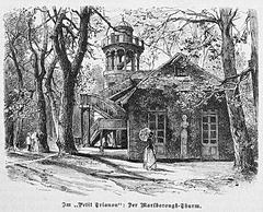 Illustration of a family picnic in a forest clearing from 1887