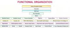 Organization chart of Banaras Hindu University showing hierarchical structure