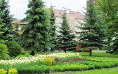 Park area with gazebo and trees in Bartoszyce