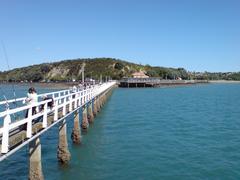 Fishing off Bastion Point near Auckland City in New Zealand from a long pier on Waitemata Harbour