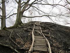 Kleiner Fudji