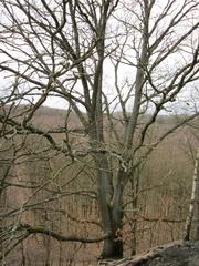 Scenic view of Kleiner Fudji in Steinbachtal with a vibrant sky