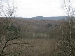 View of the Grube Jägersfreude spring mountain heap in Kleiner Fudji Steinbachtal