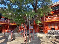 Beijing Dongyue Temple traditional Chinese architecture with ornate roof and intricate details
