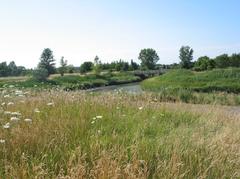 Belle Isle Marsh landscape in East Boston Massachusetts