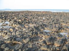 Unique black rock formations at Batu Hitam beach in Kuantan Malaysia