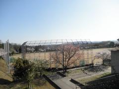 Nara University ground with lush green field and campus buildings