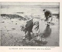 Clam fisheries near La Rochelle, France with fishermen working on boats