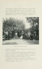 Historic illustration of Buenos Aires Botanical Garden by Carlos Thays