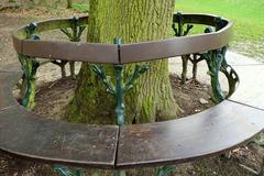 Wooden bench in Bois de la Cambre park surrounded by trees in Brussels