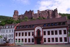 Scenic view of Heidelberg city with historic architecture and lush greenery