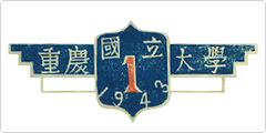 Chongqing University