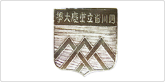 Emblem of Sichuan Provincial Chongqing University featuring a stylized geometric design with Chinese characters