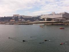 Swimming race arrival at Gerland, Lyon with swimmer wearing fins