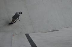 Freestyle scooter displayed at the Museum of Confluences in April 2015