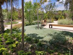 Bustan Mozaion orchard captured during the Houses Inside 2024 tour