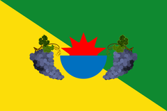 Flag of Ica, Peru