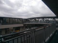 Paradise Metro train at station with overhead cables and blue sky