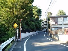 Kuraboné Slope along the border between Kokubunji and Koganei cities in Tokyo with scenic trees and pathway