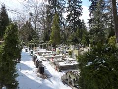 Winter scene of Grabiszyński Cemetery in Wrocław with snow-covered tombstones and trees
