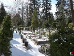 Grabiszyński Cemetery