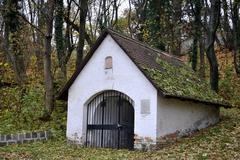 |
  King Bela'S Well