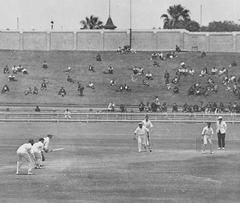 Alan Kippax playing cricket at Sydney Cricket Ground