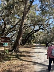 People walking on a road beside trees with a Cedar Point sign and parking lots in the background