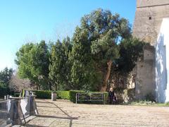 Certosa Di San Martino