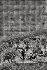 Jardin de l'Institut du Monde Arabe with lush greenery and modern architecture