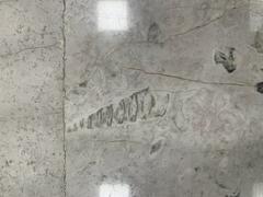 Fossils displayed at Mexico City International Airport