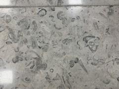 Fossils displayed at Mexico City International Airport