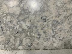 Fossils displayed at Mexico City International Airport