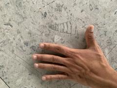 Fossils displayed at Mexico City International Airport