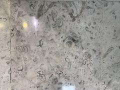 Fossils displayed at Mexico City International Airport