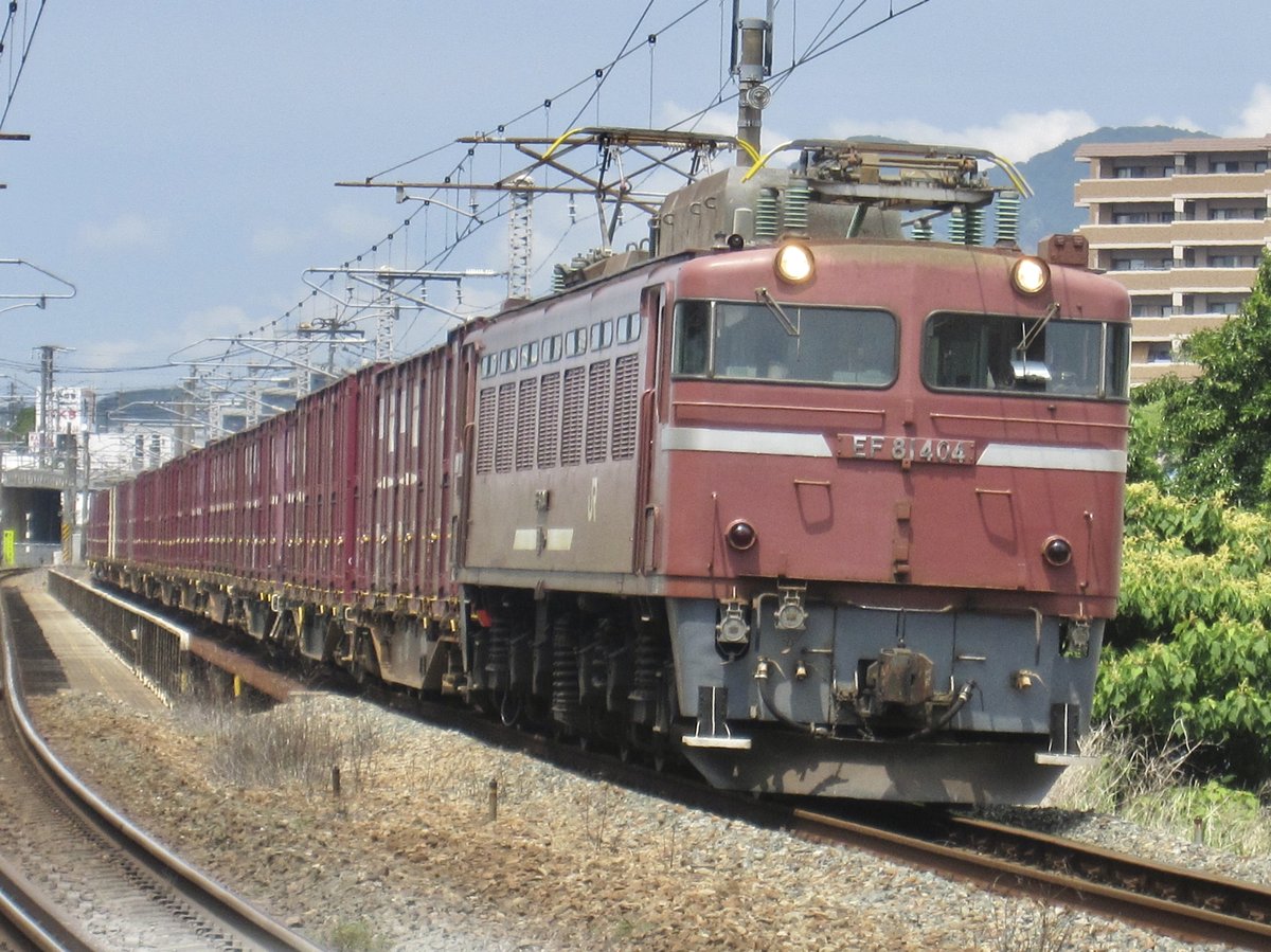 EF81-404 freight train locomotive
