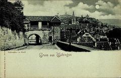 Historic view of Schlosstor and town of Tübingen with rising moon