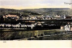 Panoramic view of Tübingen from Galgenberg with historical buildings, trees and landscape