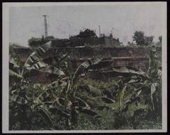 ARVN antiaircraft weapons positioned on the walls of Hue Citadel for city defense