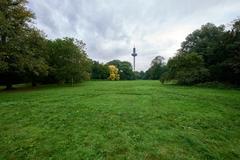 Grüneburgpark in Frankfurt am Main during autumn with colorful foliage and a pond