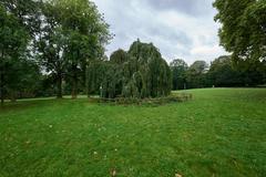 Grüneburgpark green park landscape with large trees and pathways in Frankfurt am Main