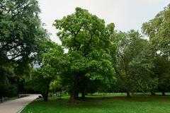 View of Grüneburgpark with green trees and walking paths in Frankfurt am Main