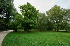 Grüneburgpark in Frankfurt am Main with walking paths and trees