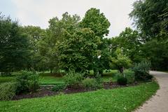 Grüneburgpark in Frankfurt am Main with green trees and walking paths