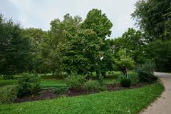 View of Grüneburgpark in Frankfurt am Main with lush green trees and walking paths on a sunny day