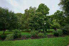 Grüneburgpark in Frankfurt am Main with lush greenery and walking paths